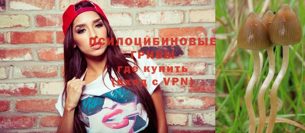 ECSTASY Абдулино