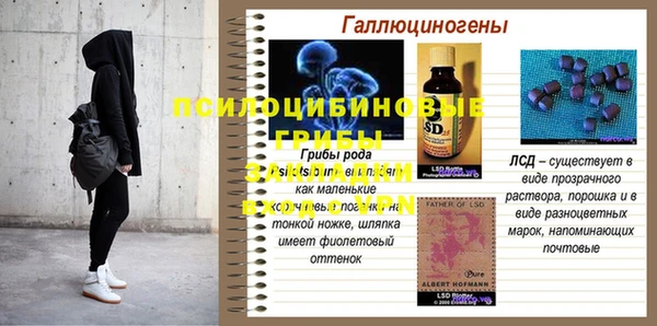 ECSTASY Абаза